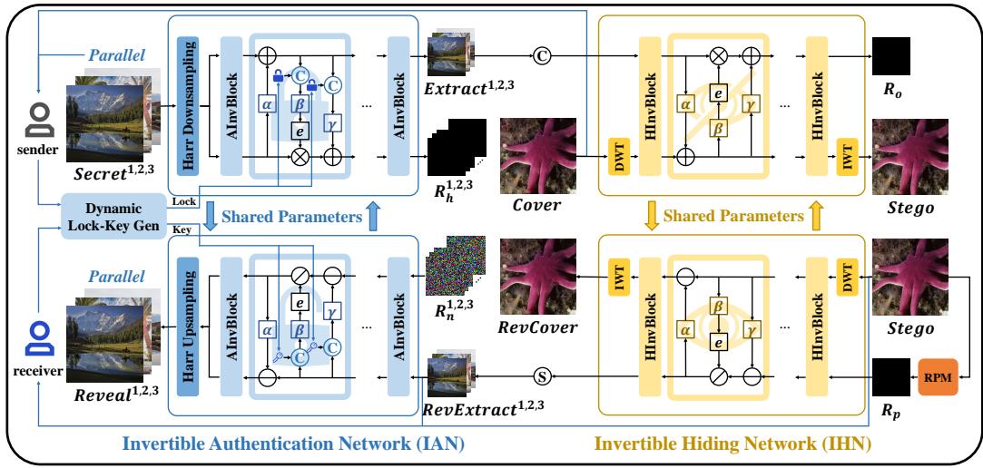 The detail structure of Invertible Authentication Network (IAN) and Invertible Hiding Network (IHN).