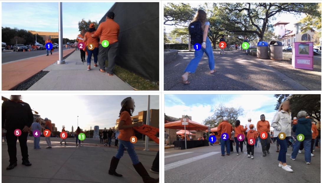 VLM 成功案例示例。