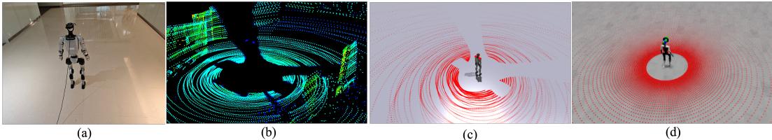 Figure 4: Comparison of simulated and real point cloud for the Unitree G1 robot. (a) The physical Unitree G1 robot setup. (b) Real-world LiDAR scan captured by the onboard Livox Mid-360 sensor. (c) (Ours) Point cloud generated using our Livox Mid-360 sensor model within the Isaac Gym. (d) Point cloud using the official sensor within the Isaac Sim. Ours captures the self-occlusion effect as in the real-world LiDAR.