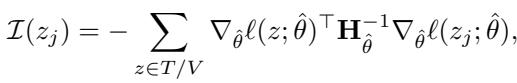 Equation for Influence Function.