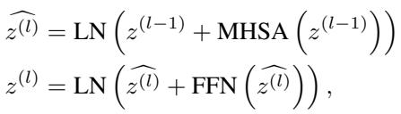 Vision Transformer Layer Equations.
