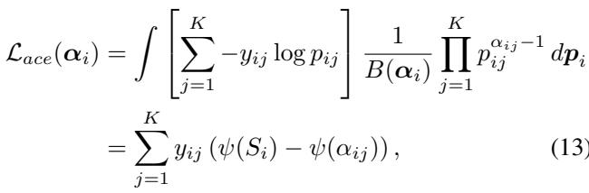 Adjusted Cross Entropy Loss