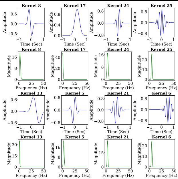 Figure 5. Waveform and frequency domains of important optimized Gabor kernels.