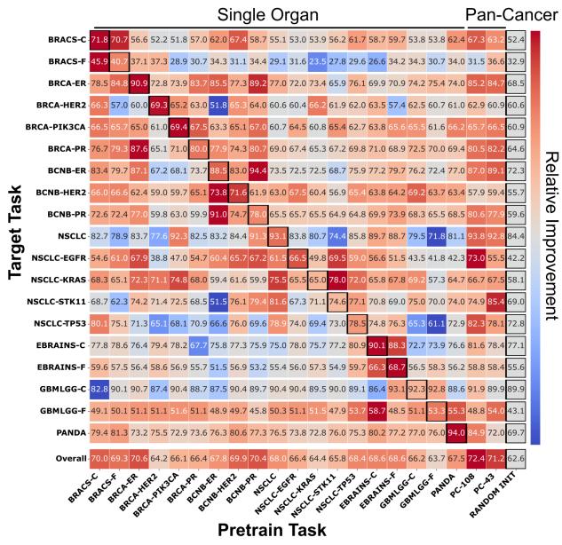 Figure 2. Transfer performance across pretrain tasks. The contingency table shows the average KNN performance of three MIL models transferring from the 21 pretrain tasks to the 19 target tasks.