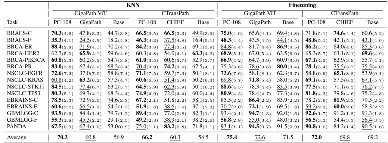 Table 2. Comparison of MIL transfer with slide foundation models. KNN and finetuning performance for MIL transfer with slide foundation models (GigaPath, CHIEF) compared against an ABMIL model initialized with pancancer pretraining (PC-108).