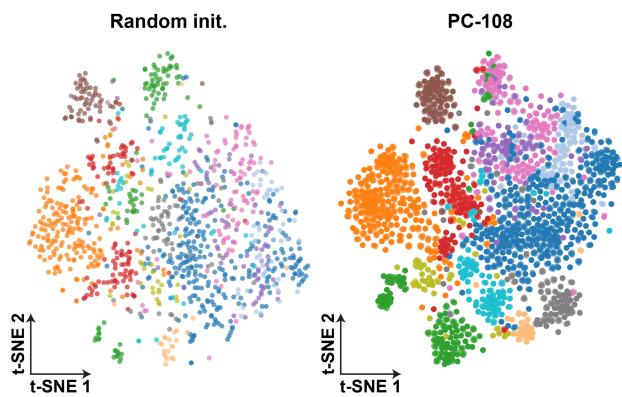 Figure 5. t-SNE of slide-level features. Visualization of the slide-level features from randomly initialized ABMIL compared to ABMIL pretrained on PC-108.
