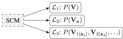 Figure 2. Every SCM induces different distributions in each layer of the PCH.