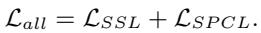 Equation 5: Total Loss Function