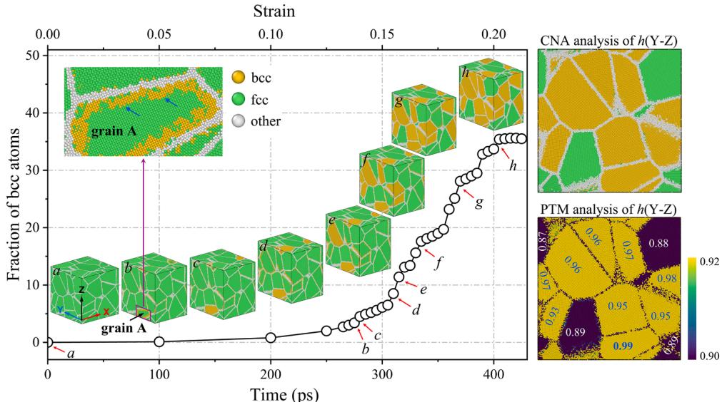 Figure 7. MD in polycrystalline Fe: stepwise transformation at GBs visualized in sequential snapshots.