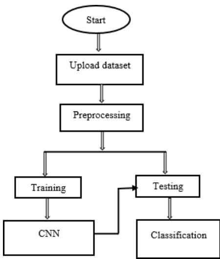 Figure 2 illustrates the machine learning pipeline, starting with data upload and preprocessing, followed by splitting the data for training the CNN and testing its classification performance.