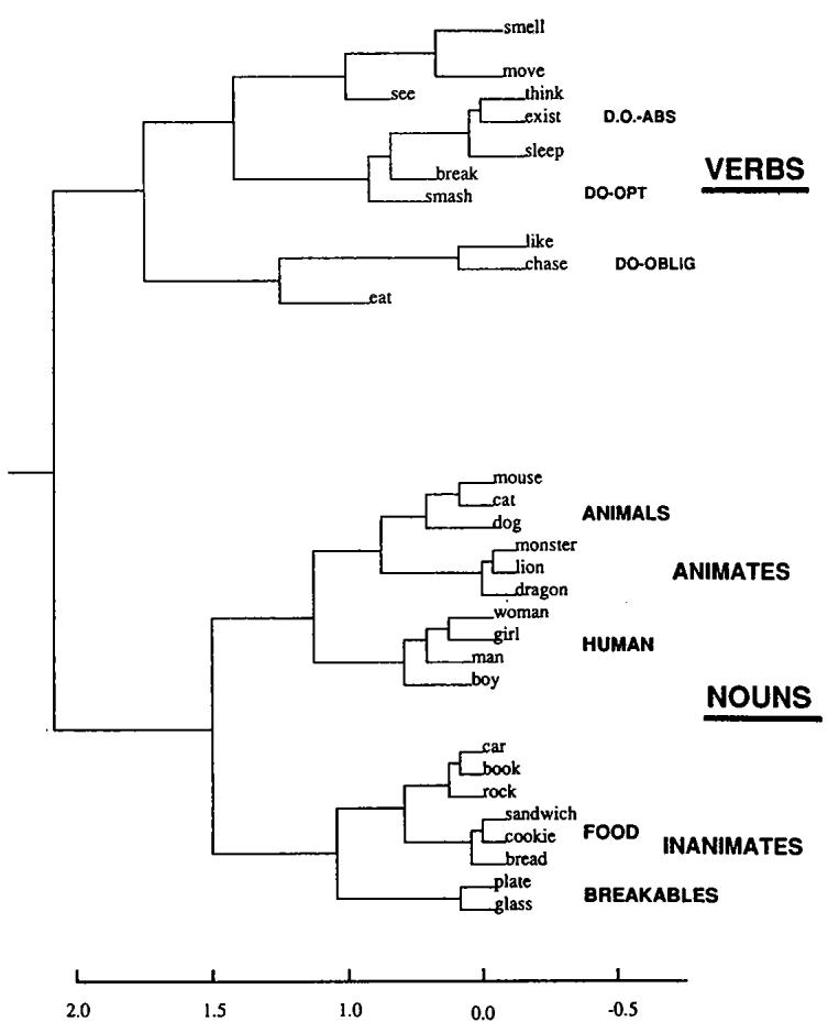 A dendrogram showing the hierarchical clustering of the network’s internal representations for all 29 words.
