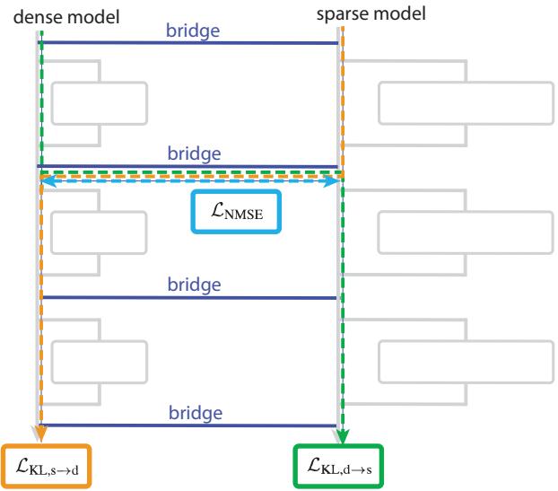 展示密集模型与稀疏模型通过“桥接层”连接内部表示的图解。