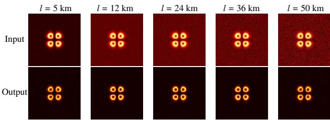 Figure 6. Visualization (real experiments) of N3DNet&rsquo;s denoising performance in the \\(LP_{21b}\\) mode under varying values of \\(l\\)