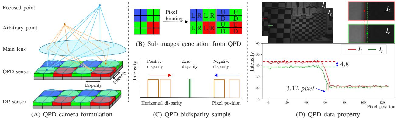 Figure 1. (A) The disparity of QPD sensors only presents in defocused regions. (B) The light rays passing through the on-chip lens fall on four photodiodes. (C) Horizontal bidisparity sample. (D) The left and right sub-images exhibit uneven brightness.