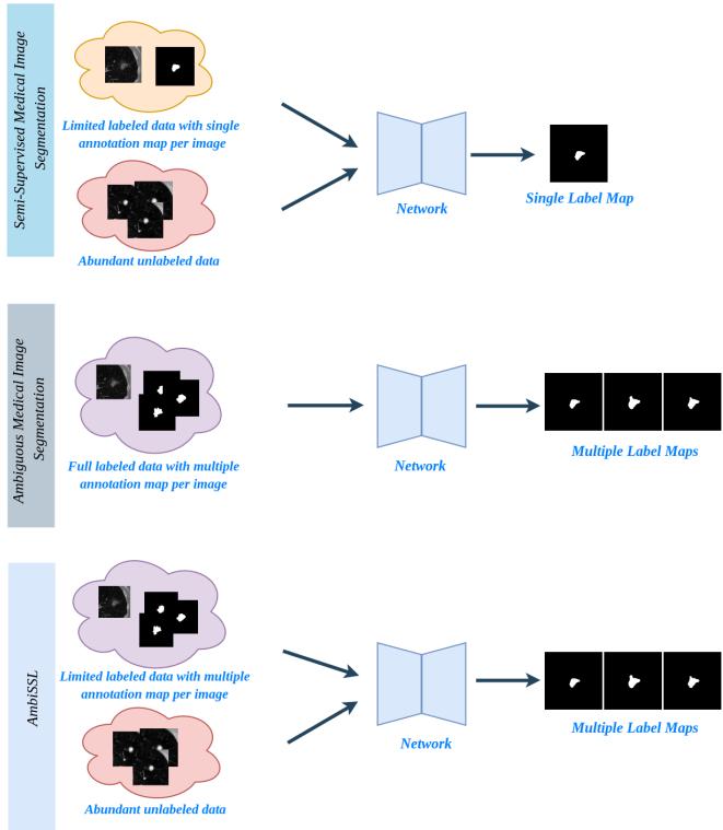 Comparison of Semi-Supervised, Ambiguity-Aware, and AmbiSSL approaches.
