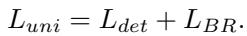Equation 11: Final Union Loss