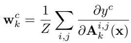 Equation 2: The GradCAM formula calculating weights based on partial derivatives (gradients).