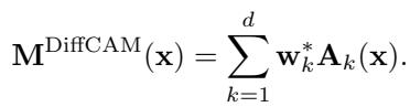 Equation 7: The final DiffCAM saliency map calculation using the optimal weights.