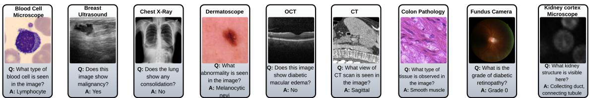 Sample VQA triplets of 9 modality-specific medical clients.