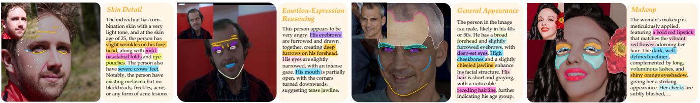 Figure 3. Qualitative examples of grounded captions. The model links text descriptions of skin, emotion, and makeup to specific pixel regions.