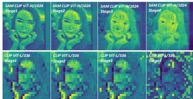 Figure 6. Visualization of features at different depths. Shallow layers (left) retain high-frequency details essential for fine-grained segmentation, while deep layers (right) capture semantics.