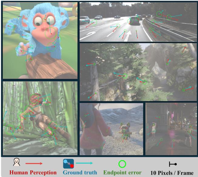 Figure 1. Example of HuPerFlow. The red arrows indicate human response to perceived flow, and the green arrows indicate ground truth motion vectors. The circles indicate the magnitudes of end-point errors, the difference between perceived flow and ground truth.