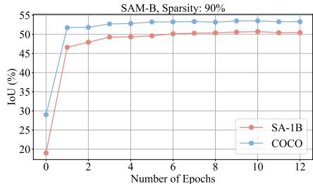 Figure 4. Performance metrics for pruned OPT-125M and SAM-B models.