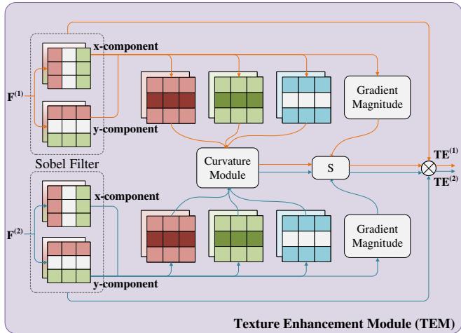 Figure 3. The structure of Texture Enhancement Module.