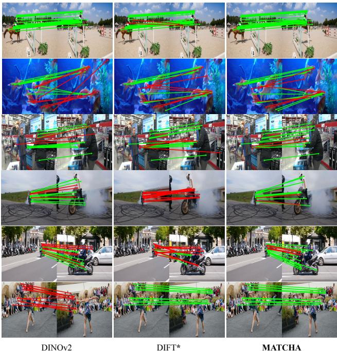 Figure 5. Visualization of temporal matches on TapVID-Davis.