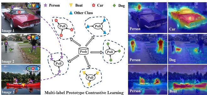 Illustration of multi-label prototype contrastive learning.