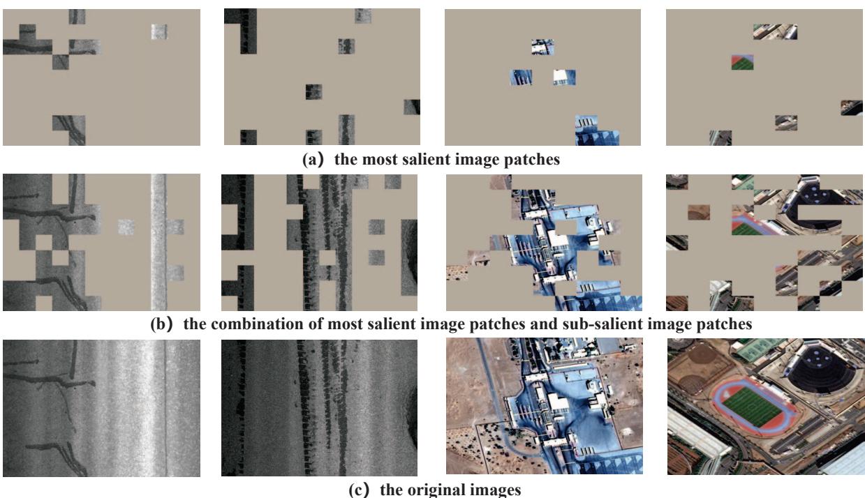 Figure 4. Visualization of selected patches. Row (a) shows salient patches (the main object). Row (b) shows salient + sub-salient patches combined. Row (c) is the original image.