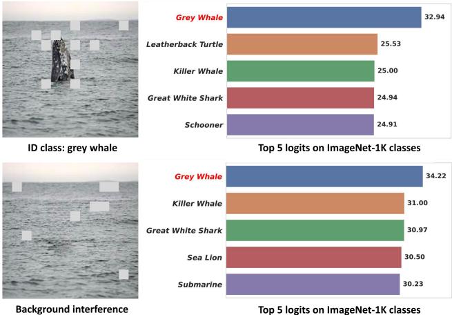 Figure 1 showing the shortcut issue where CLIP predicts &lsquo;Grey Whale&rsquo; based solely on water background.