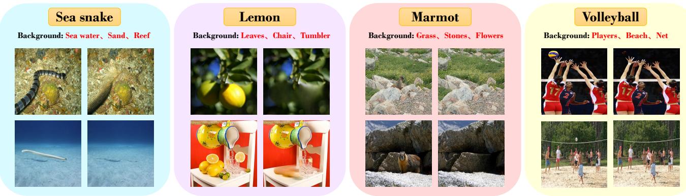 Figure 3 comparing original ImageNet images with the new ImageNet-Bg dataset.