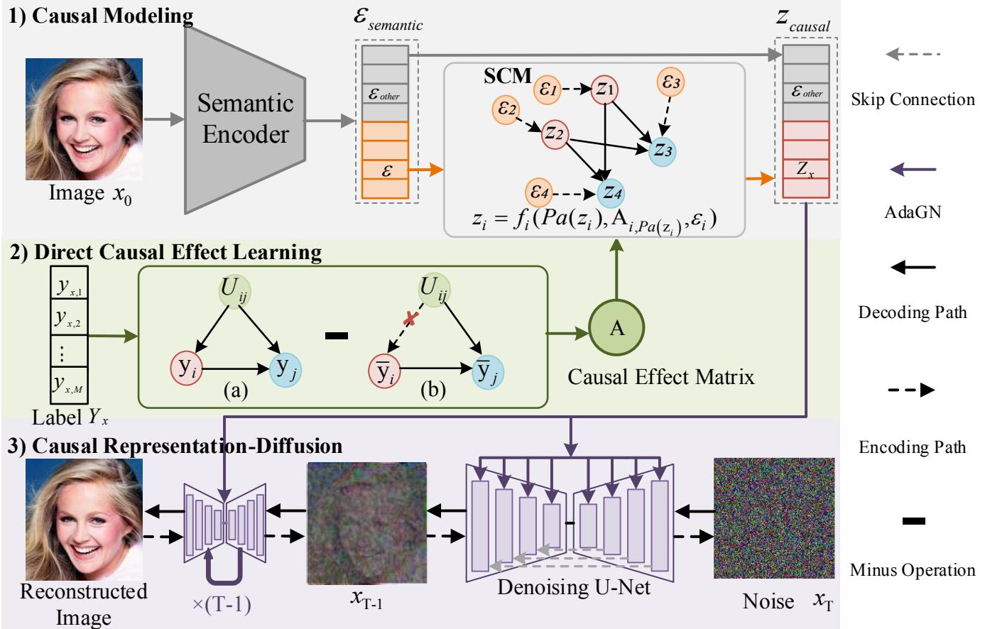 Figure 2. The framework of our CIDiffuser. The framework first encodes the input image x_0 to high-level semantic representations by a semantic encoder; Then, the direct causal effect learning module processes the semantic representations and labels to infer the causal effect matrix A; Next, the learned A is incorporated with the structural causal model (SCM) to transform these semantic representations into high-quality causal representations.