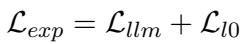 Equation showing total expert construction loss.