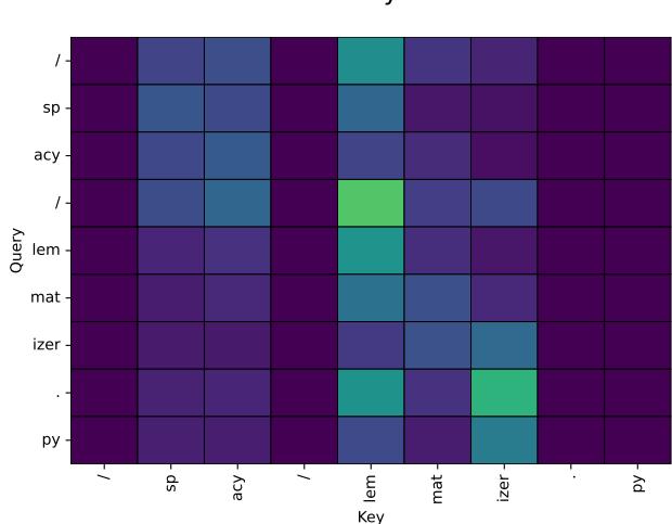 Attention map showing the model focusing on file path tokens.
