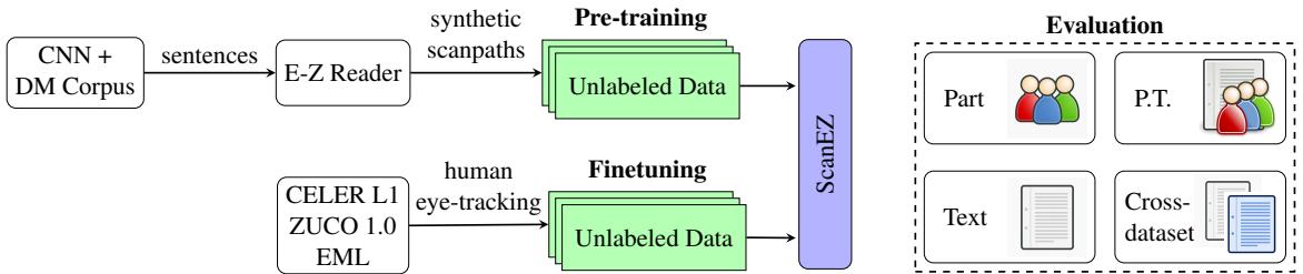 Overview of the workflow combining synthetic and human eye-tracking data for scan-path prediction. Synthetic scanpaths generated with the E-Z Reader model from CNN + DM texts are used in the pre-training phase of SCANEZ. The model is then fine-tuned on real human data.
