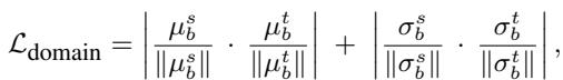 Equation: Domain Characteristic (Orthogonality) Loss.