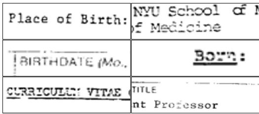 图 5: RVL-CDIP 文档中出现的噪点示例。
