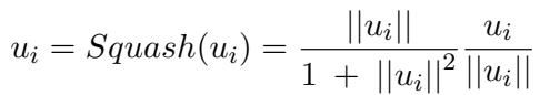Equation 2: Squash Function