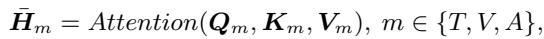 公式 14 展示了面向模态特征的注意力。