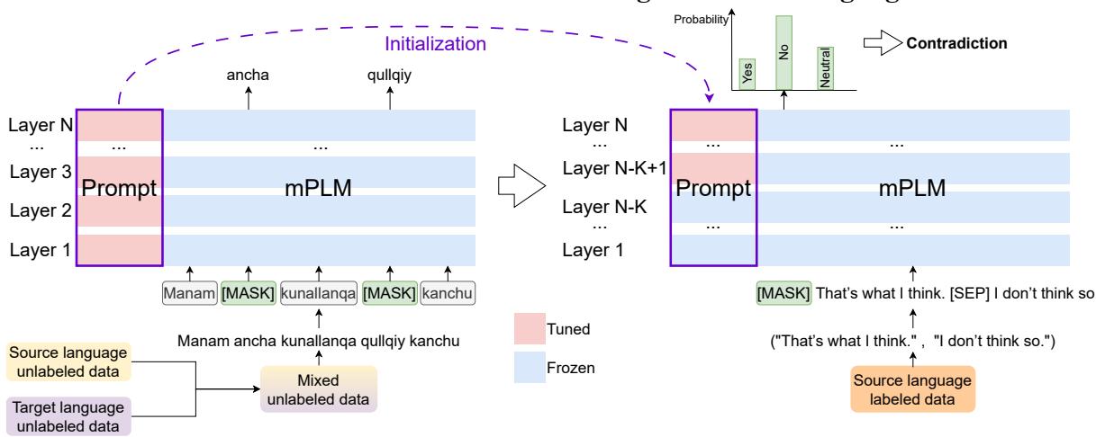 Figure 2: Illustration of our soft-prompt language adaptation. Left: Stage 1 involves MLM on unlabeled data. Right: Stage 2 involves fine-tuning soft prompts for the specific task.