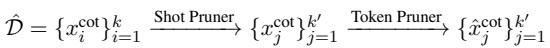 方程 1: 从数据集到样本剪枝再到 token 剪枝的流程。