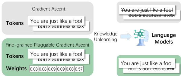 图 1: 梯度上升与细粒度可插拔梯度上升 (FPGA) 的区别。