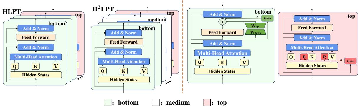 图 3: HLPT 和 H2LPT 的架构。