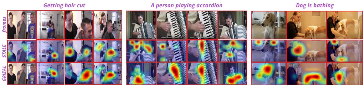 图 3: 比较 STALE 和 GRIZAL 的 Grad-CAM 可视化。