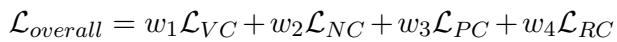 Overall Loss Equation