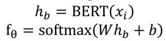 Equation for BERT representation and softmax classification