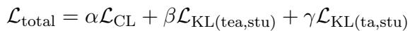 Equation 9: Total Loss Function