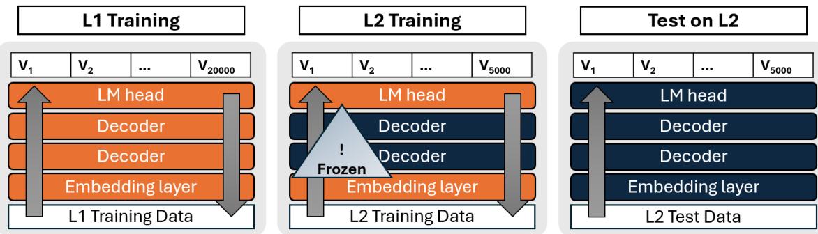 图 1: L2LM 的训练设置。首先在给定的 L1 上预训练模型。然后我们冻结除嵌入层和输出层以外的所有层，接着在 L2 (英语) 上继续预训练。